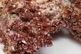 Ruby Red Vanadinite Crystals on White Barite - Top Quality #196357-2
